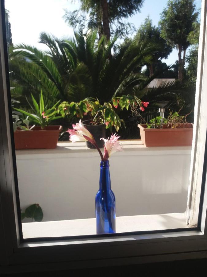 Near Aiport Apartman La Laguna  Kültér fotó
